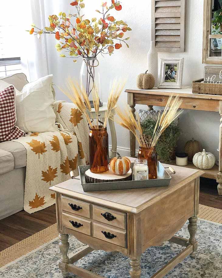 Storage coffee table with tray centerpiece on top