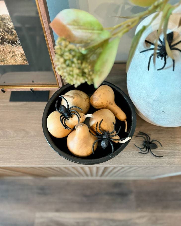 Fall and Halloween decor