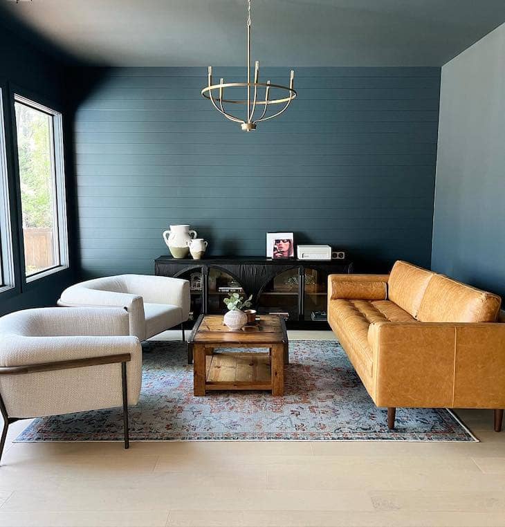 living room with leather sofa