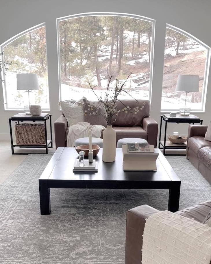 living room with leather sofa