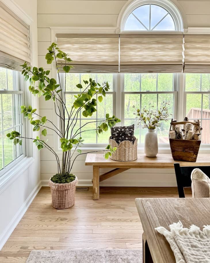 decorate room with plants