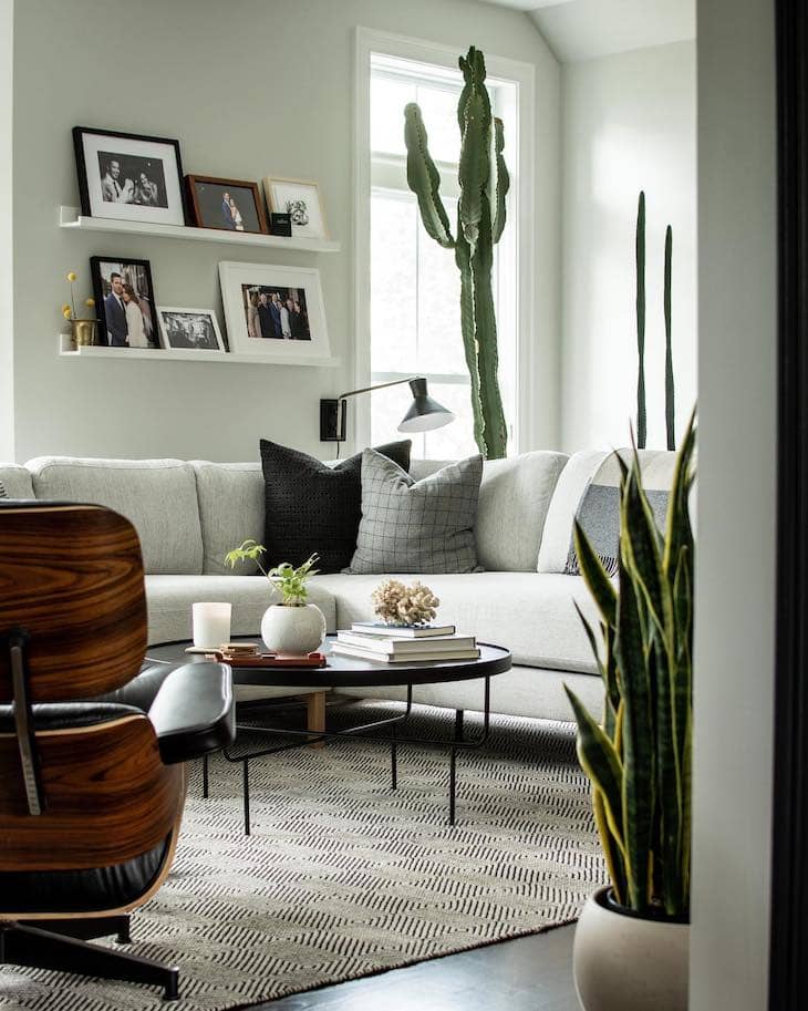 Sculptural Cacti indoor decor