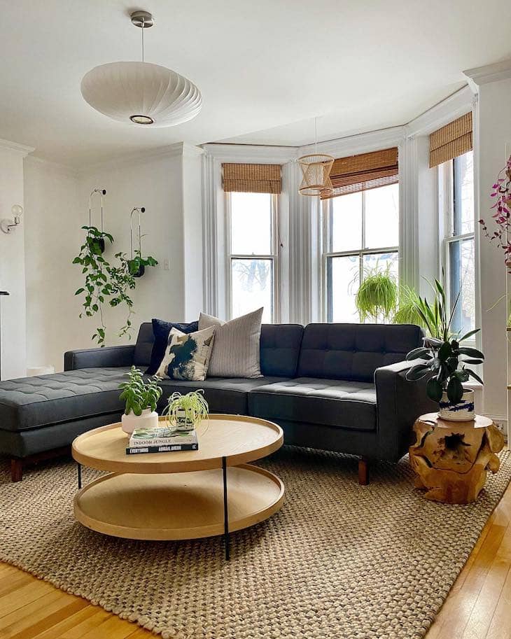 indoor plants styling

