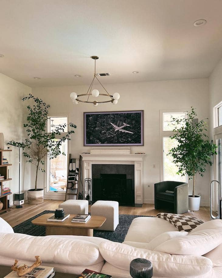 indoor plants styling