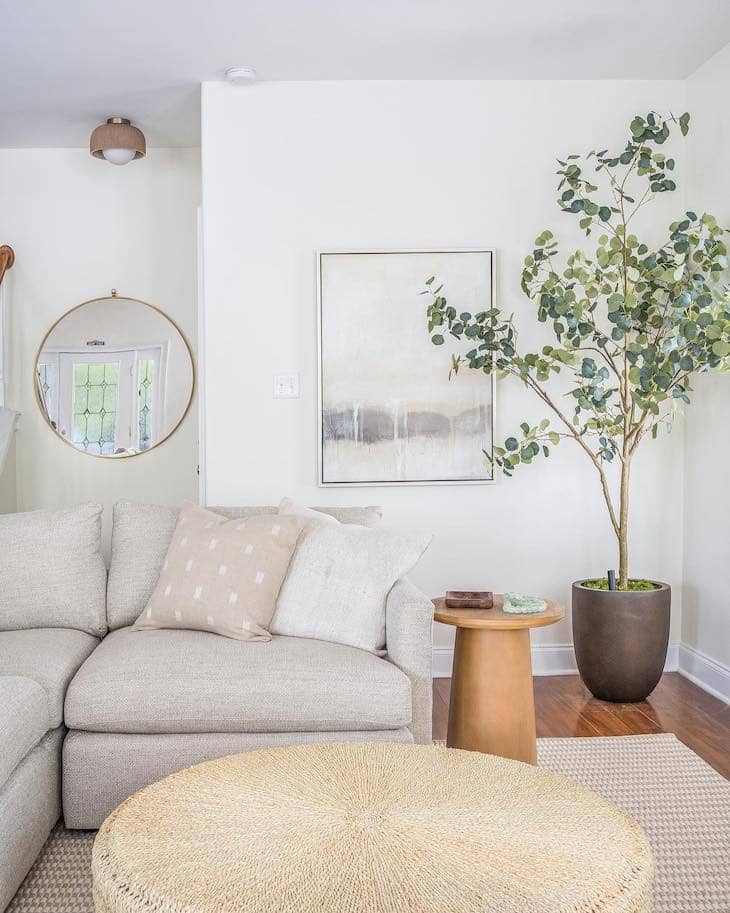 indoor plants styling