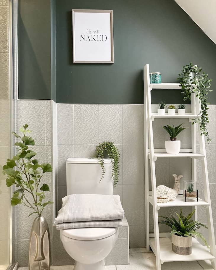 Indoor plants in bathroom