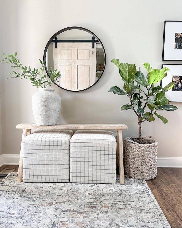 Entryway decor with plants