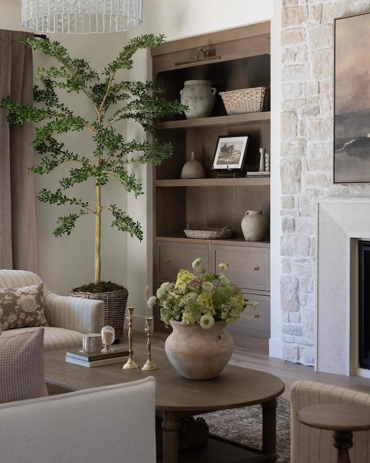 Indoor plant in living room