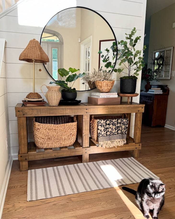 indoor plants styling

