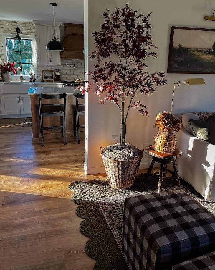 indoor plants styling

