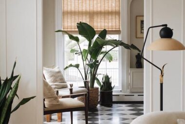Creative Ways to Decorate with Plants in Every Room