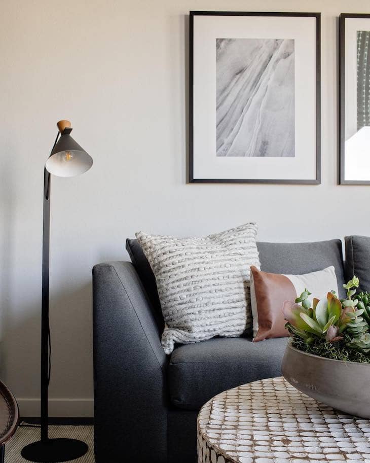 throw pillows on a couch